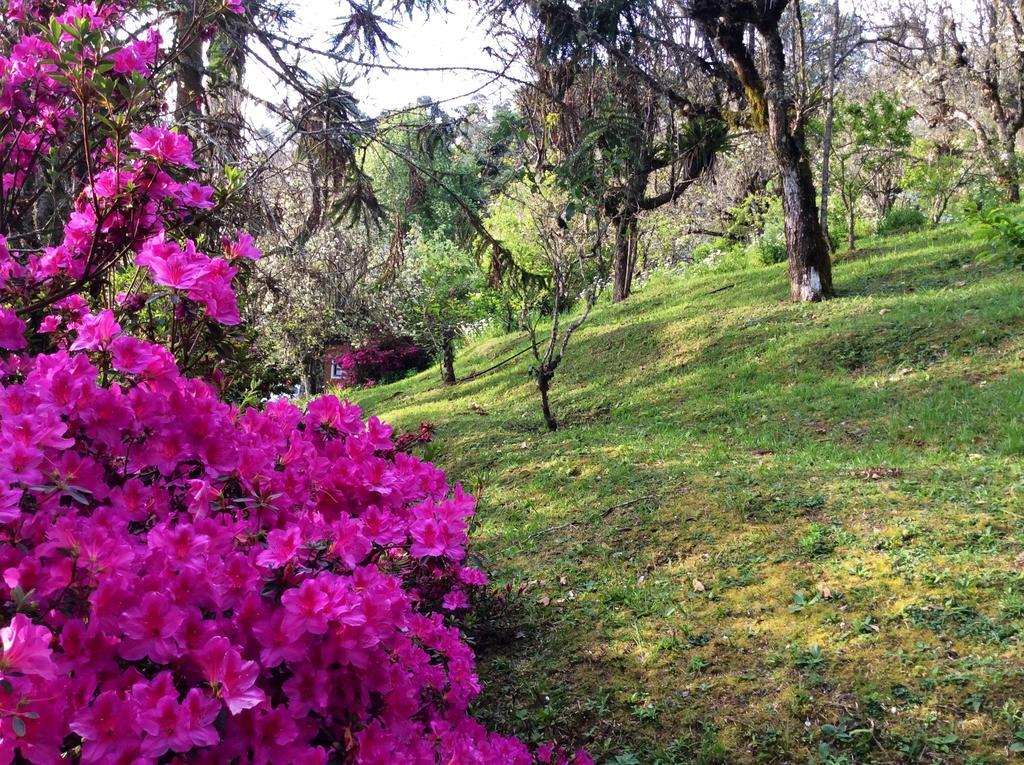 Sitio Nossa Senhora De Loreto Campos do Jordão エクステリア 写真