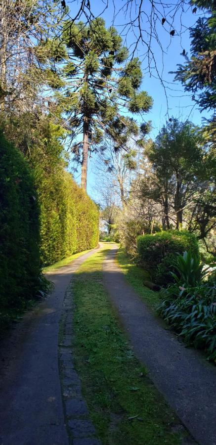 Sitio Nossa Senhora De Loreto Campos do Jordão エクステリア 写真